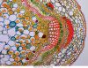 Delta-Optical-Genetic-Pro-Bino-4.jpg