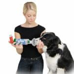 Inhalator AeroDawg dla dużych psów kobieta-stosuje-aerodawg-na-swoim-psie-1-150x150.jpg