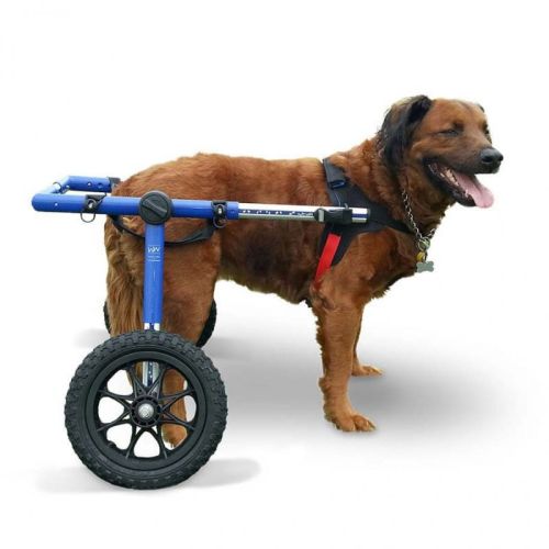 walkinpets-wozki-inwalidzkie-duzy-rozmiar-32-68-kg.jpg