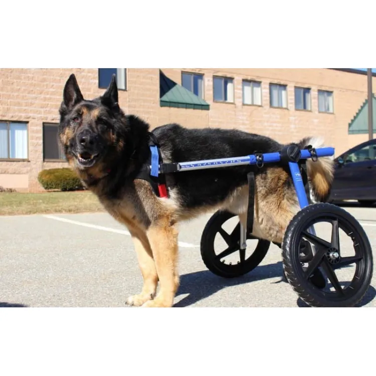 walkinpets-wozki-inwalidzkie-duzy-rozmiar-32-68-kg (2).jpg