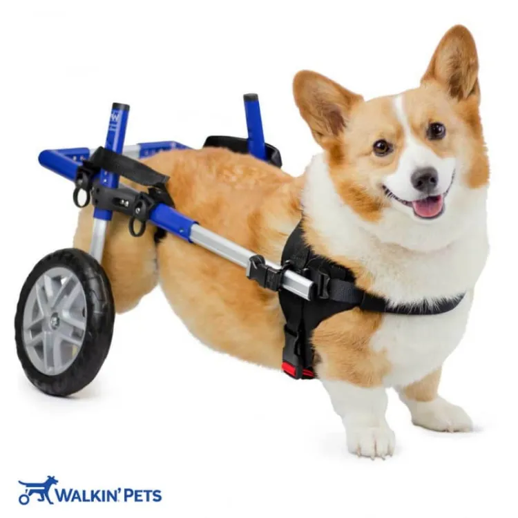 walkinpets-wozek-dla-psa-corgie-dla-psow.jpg
