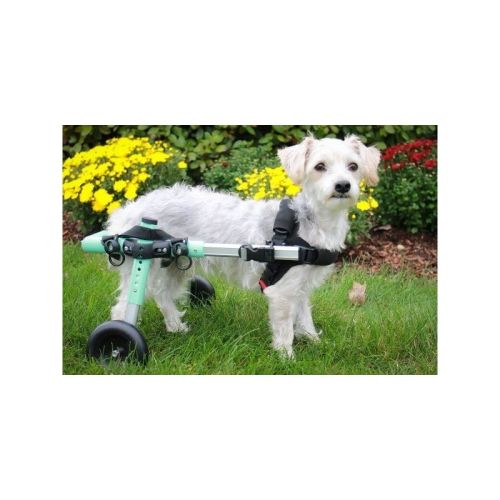 walkinpets-wozki-inwalidzkie-maly-rozmiar-5-11-kg (8).jpg