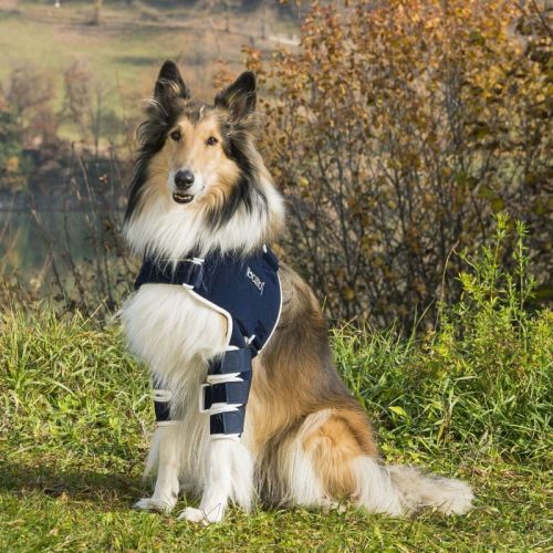 balto-orteza-na-ramie (2).jpg