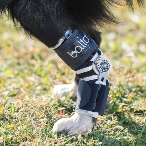 balto-flexor-regulowany-uchwyt-na-kostke-dla-psowo (3).jpg