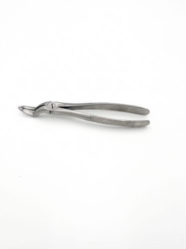 Kleszcze Berten górne korzenie fig.97L AGA 145 IMG_6311.jpg