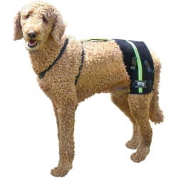walkinpets-hip-eez-system-wsparcia-dla-psa (4).jpg
