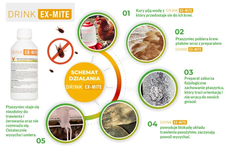 drink-ex-mite-schemat-dzialania.jpg