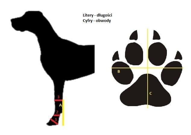 Ortez-but-przod-dirsi-flex-wymiary (1).jpg