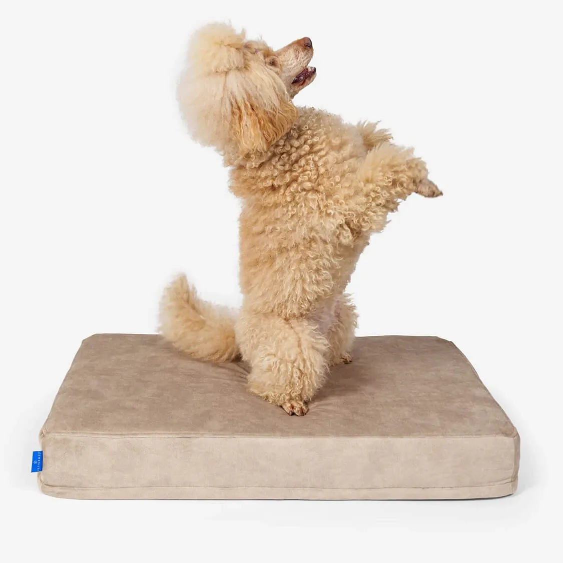 Materac ortopedyczny dla psa Petformed® M