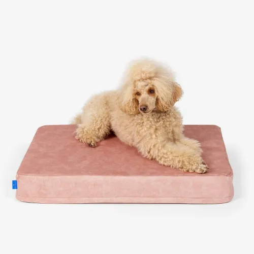 Materac ortopedyczny dla psa Petformed® M Materac-Petformed-Rozowy-4.webp
