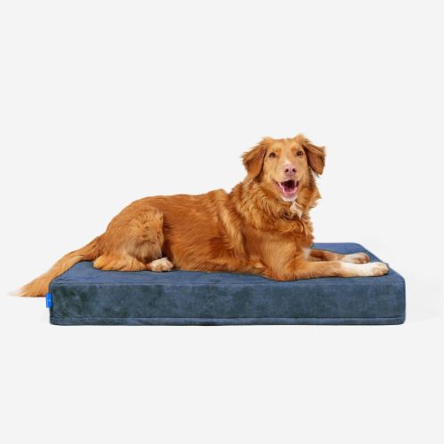 Materac ortopedyczny dla psa Petformed® M Materac-Petformed-Niebieski-4.jpg