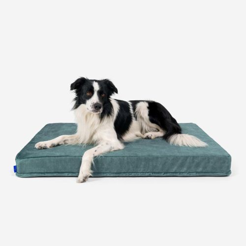 Materac ortopedyczny dla psa Petformed® L Materac-Petformed-Zielony-4 (1).jpg