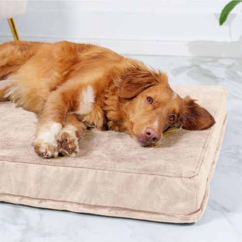 Materac ortopedyczny dla psa Petformed® L Materac-Petformed-Bezowy-1.jpg
