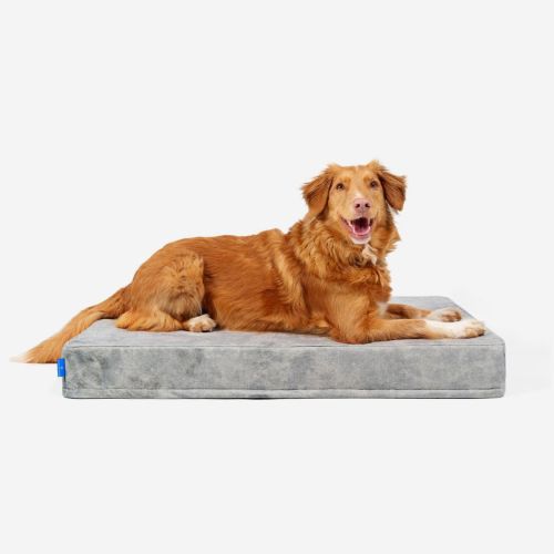 Materac ortopedyczny dla psa Petformed® L Materac-Petformed-Szary-4.jpg