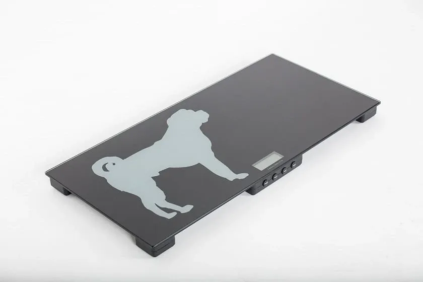 Waga weterynaryjna do 150 kg 40 x 84 cm