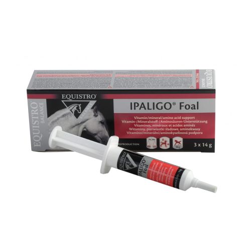 Equistro Ipaligo foal dla koni 3 x 14g.jpg