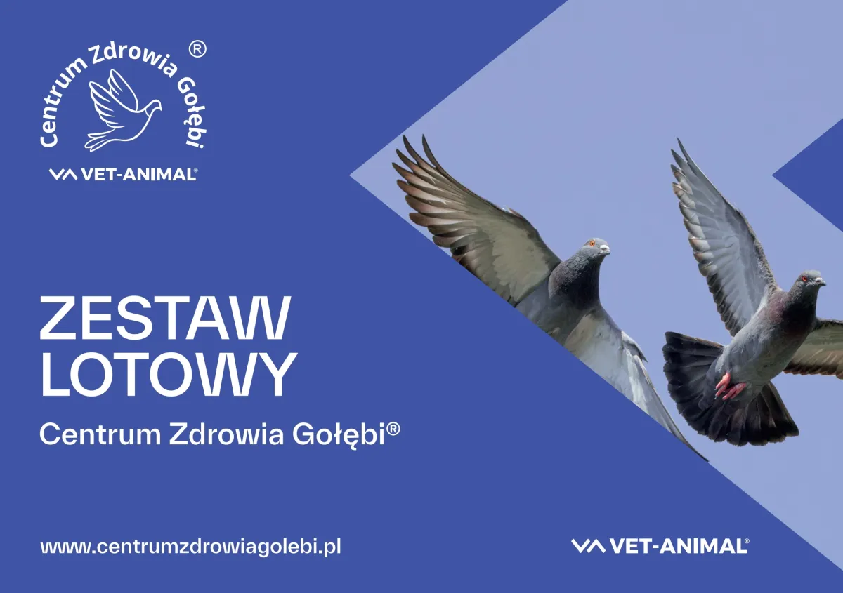 CZG zestaw lotowy.webp