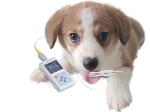 Pulsoksymetr weterynaryjny OXY-50 GIMA 80800_a.webp