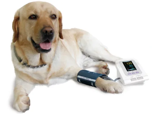 Elektryczny ciśnieniomierz weterynaryjny Contec 80550_b.webp
