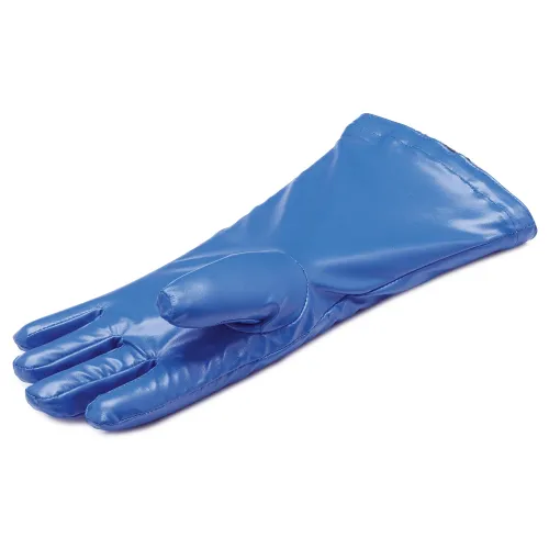 Handschuh-blau.webp