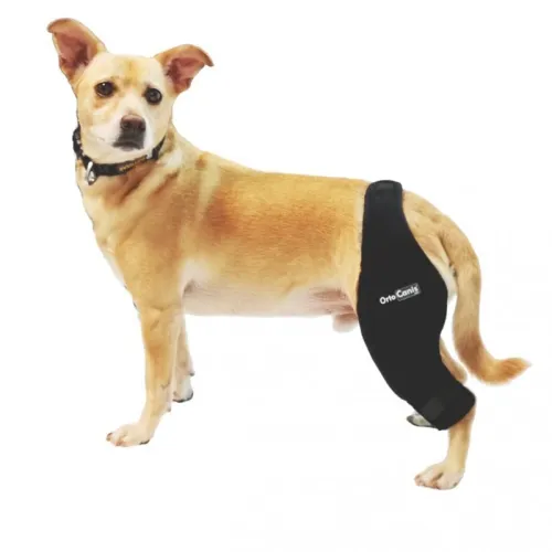 Lewa orteza kolanowa z szyną Ortocanis ortocanis-orteza-stawu-kolanowego-z-szyna-dla-psa.webp